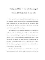 Thuận gió, thuận tình, và may mắn pdf