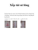 Xếp túi ni lông ppt