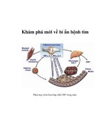 Khám phá mới về bí ẩn bệnh tim ppsx