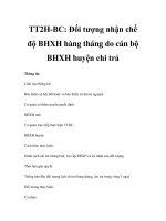 TT2H-BC: Đối tượng nhận chế độ BHXH hàng tháng do cán bộ BHXH huyện chi trả doc
