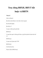 Truy đóng BHXH, BHYT bắt buộc và BHTN pps