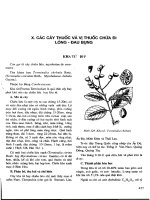 Những cây thuốc và vị thuốc Việt Nam (Phần II-X) pptx