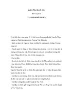 TÂY SƠN KHỞI NGHĨA pptx