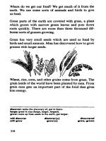 English Skills - Through Pictures (Phần 2) part 13 pptx