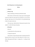 Đề cương Giải phẫu học phần III (Phần 7) pptx