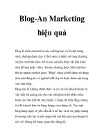 Blog-An Marketing hiệu quả ppsx