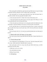 Giáo trình bệnh học 2 (Phần 16) potx