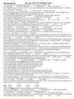 de thi thu TN(theo chuan kien thuc)