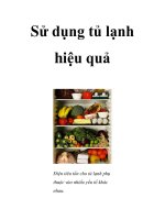 Sử dụng tủ lạnh hiệu quả pptx