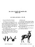 Những cây thuốc và vị thuốc Việt Nam (Phần II-XXI) potx