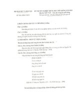 ĐỀ THI TNPT NGỮ VĂN 12 NĂM 2010