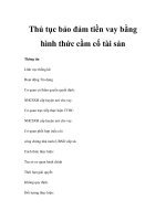 Thủ tục bảo đảm tiền vay bằng hình thức cầm cố tài sản pot