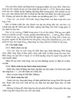 Hệ thống Lạnh - Lắp Đặt, Thiết Kế và Vận Hành (Phần 2) part 18 pptx