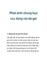 Phát sinh chủng loại của động vật da gai docx