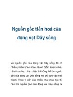 Nguồn gốc tiến hoá của động vật potx