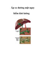 Áp-xe đường mật nguy hiểm khó lường ppt