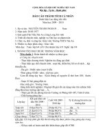 Tóm tắt thành tích 2010 (T.Ngoan)