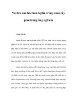 Vai trò của hócmôn leptin trong nuôi cấy phôi trong ống nghiệm pdf