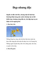 Đẹp nhưng độc doc