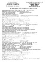 Đề thi thử nghề THCS mã đề 106