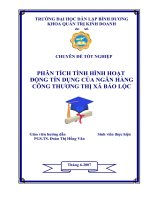 PHÂN TÍCH TÌNH HÌNH HOẠT ĐỘNG TÍN DỤNG CỦA NGÂN HÀNG CÔNG THƯƠNG THỊ XÃ BẢO LỘC