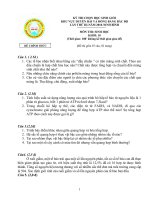 Đề thi Duyên hải Bắc Bộ -Khối 10