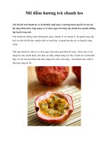 Mê đắm hương trà chanh leo pps