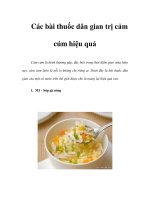 Các bài thuốc dân gian trị cảm cúm hiệu quả potx