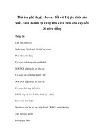 Thủ tục phê duyệt cho vay đối với Hộ gia đình sản xuất, kinh doanh tại vùng khó khăn mức cho vay đến 30 triệu đồng doc