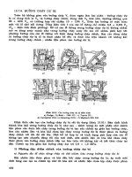 Động Cơ Nhiệt - Đốt Trong (Phần 3) part 11 ppt