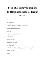 TT1H-BC: Đối tượng nhận chế độ BHXH hàng tháng tại đại diện chi trả ppt