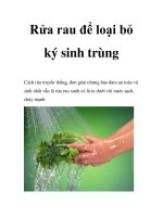 Rửa rau để loại bỏ ký sinh trùng potx