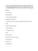 Cấp hạn ngạch nhập khẩu vàng nguyên liệu áp dụng đối với các doanh nghiệp kinh doanh vàng có vốn đầu tư nước ngoài pps