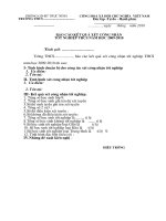 Mẫu BC xét CNTN 09-10