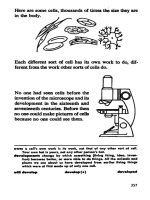 English Skills - Through Pictures (Phần 2) part 17 ppsx