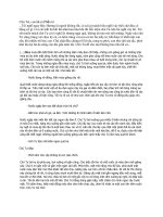 Chú Tư, con là ai? (Phần 6)