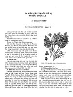 Những cây thuốc và vị thuốc Việt Nam (Phần II-IV) doc