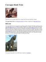 Điển tích VH-Con ngựa Thành Troia