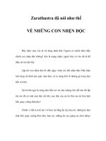 VỀ NHỮNG CON NHỆN ĐỘC - Zarathustra đã nói như thế pot