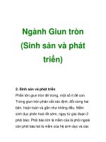 Ngành Giun tròn (Sinh sản và phát triển) ppsx
