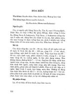 Cây hoa chữa bệnh (Hoa trị liệu pháp)_Phần 7 pdf