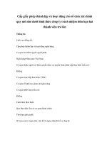 Cấp giấy phép thành lập và hoạt động cho tổ chức tài chính quy mô nhỏ dưới hình thức công ty trách nhiệm hữu hạn hai thành viên trở lên ppt