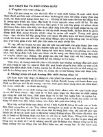 Động Cơ - Sửa Chữa Động Cơ Máy Nổ, Ô Tô (Phần 3) part 9 ppsx