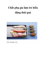 Chất phụ gia làm trẻ hiếu động thái quá ppsx