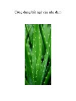 Công dụng bất ngờ của nha đam ppsx