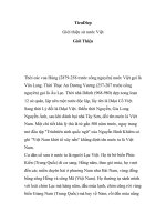 Giới thiệu sử nước Việt Thời các vua Hùng pot