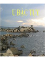 Bài giảng U đắc tụy (Phần 1) pdf