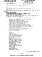 ĐỀ LUYỆN THI ĐẠI HỌC MÔN NGỮ VĂN