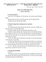 Báo cáo tổng kết tổ