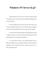 Windows NT Server là gì? docx